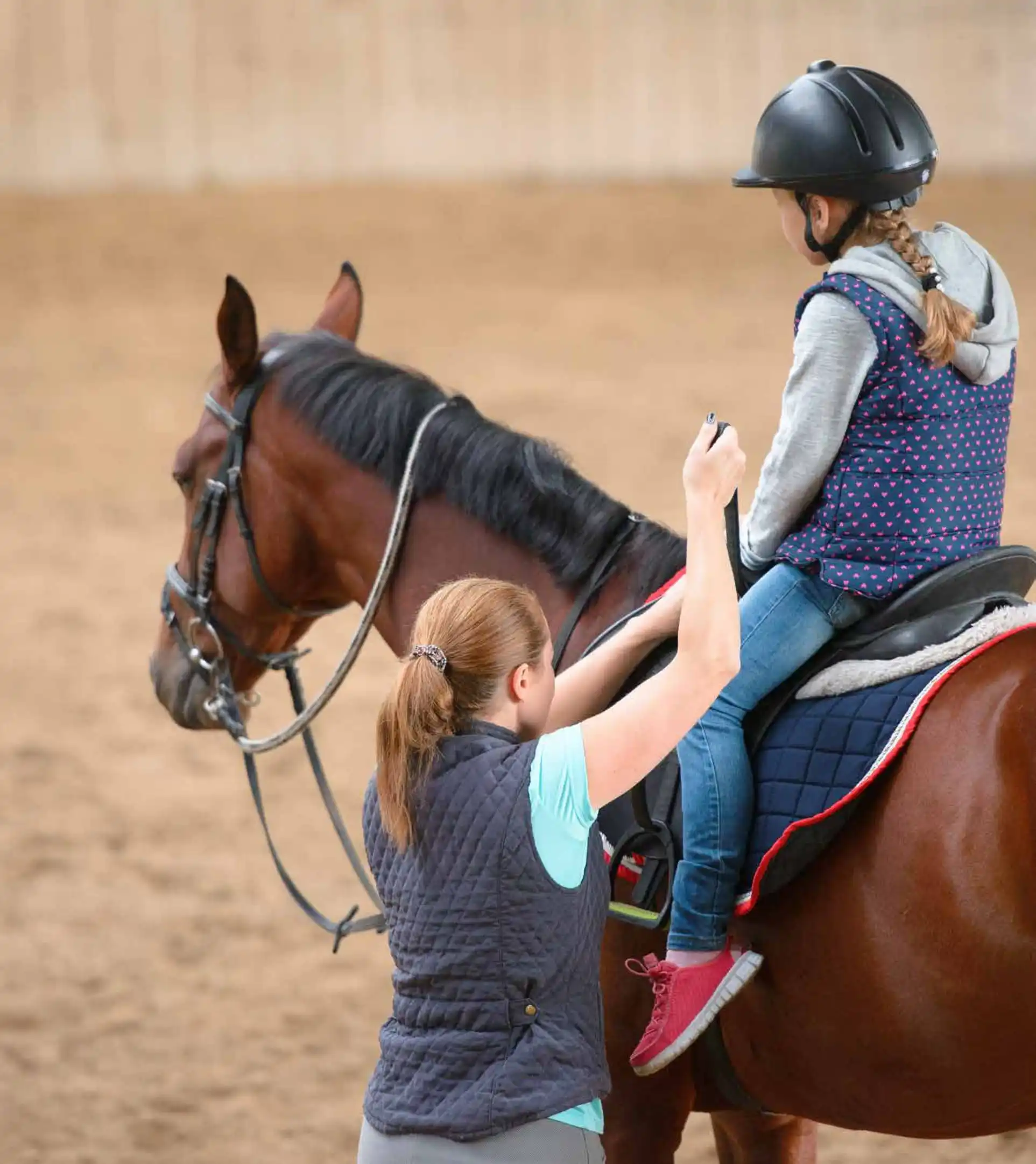 AHE_BROCHURE _Page26_Image2