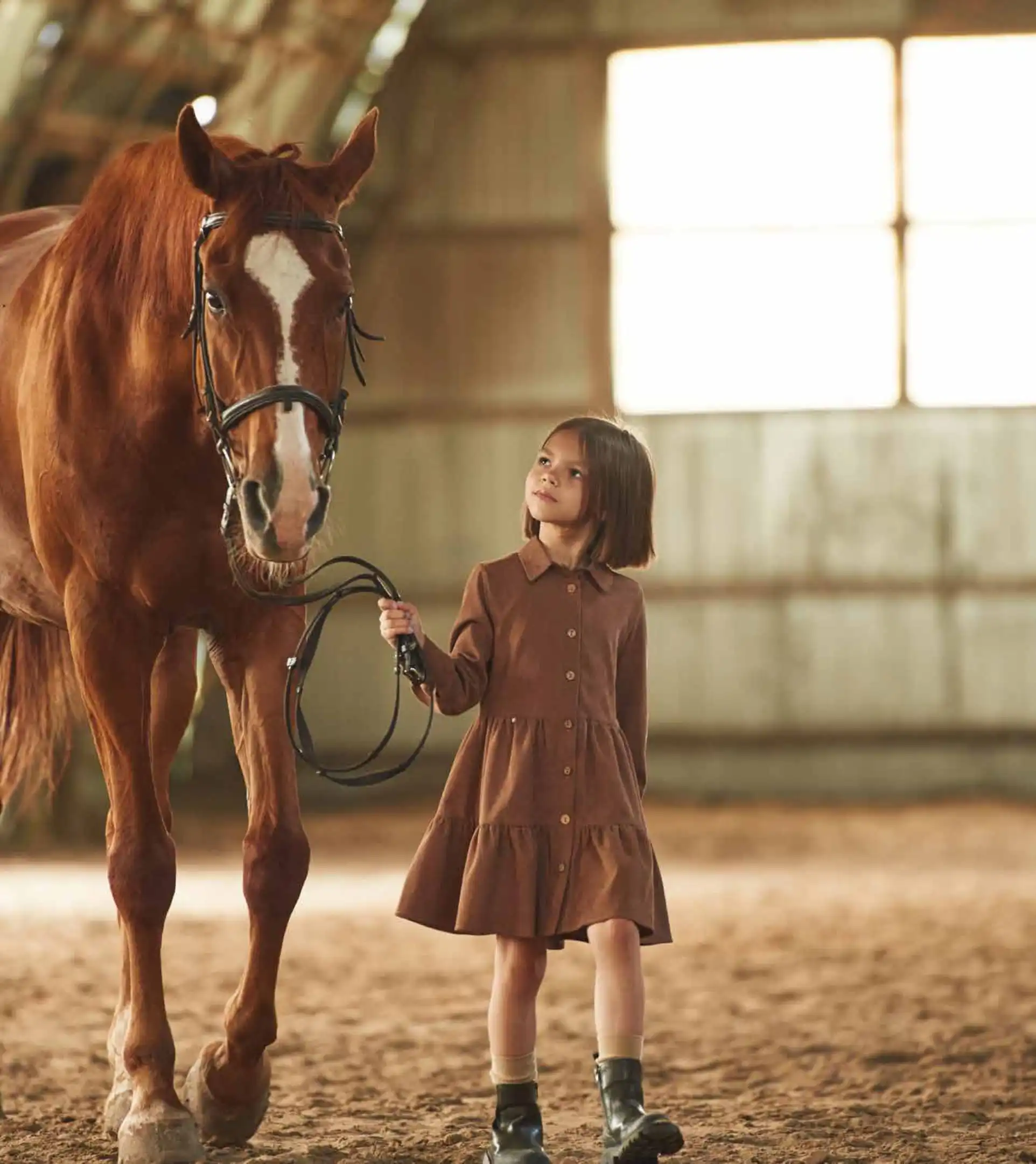 AHE_BROCHURE _Page28_Image2