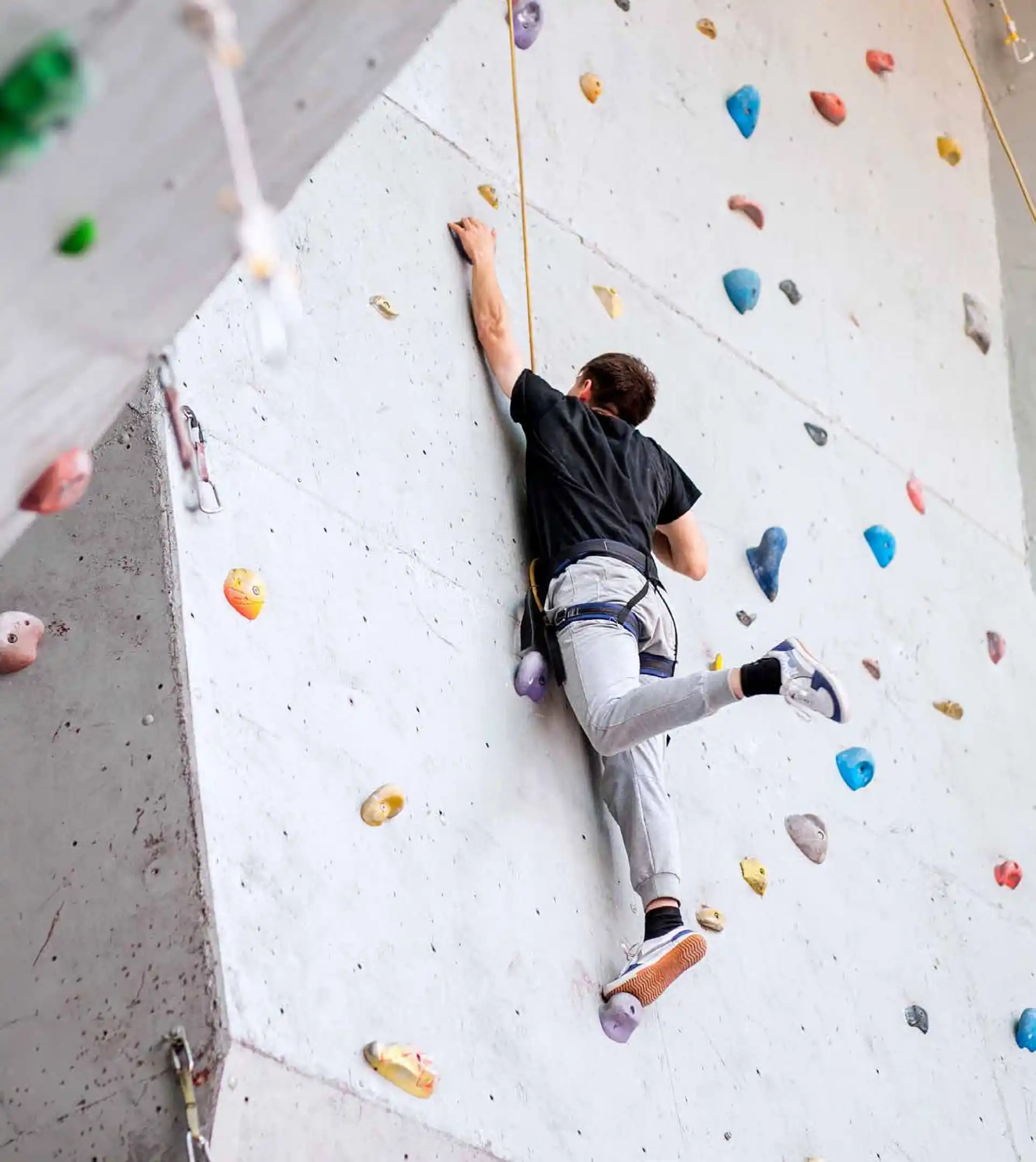 AHE_BROCHURE _Page43_Image3